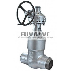 Pressure seal gate valve Class 2500LB
