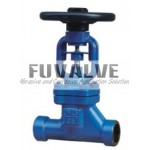 Forged bellow sealed  Globe valve 